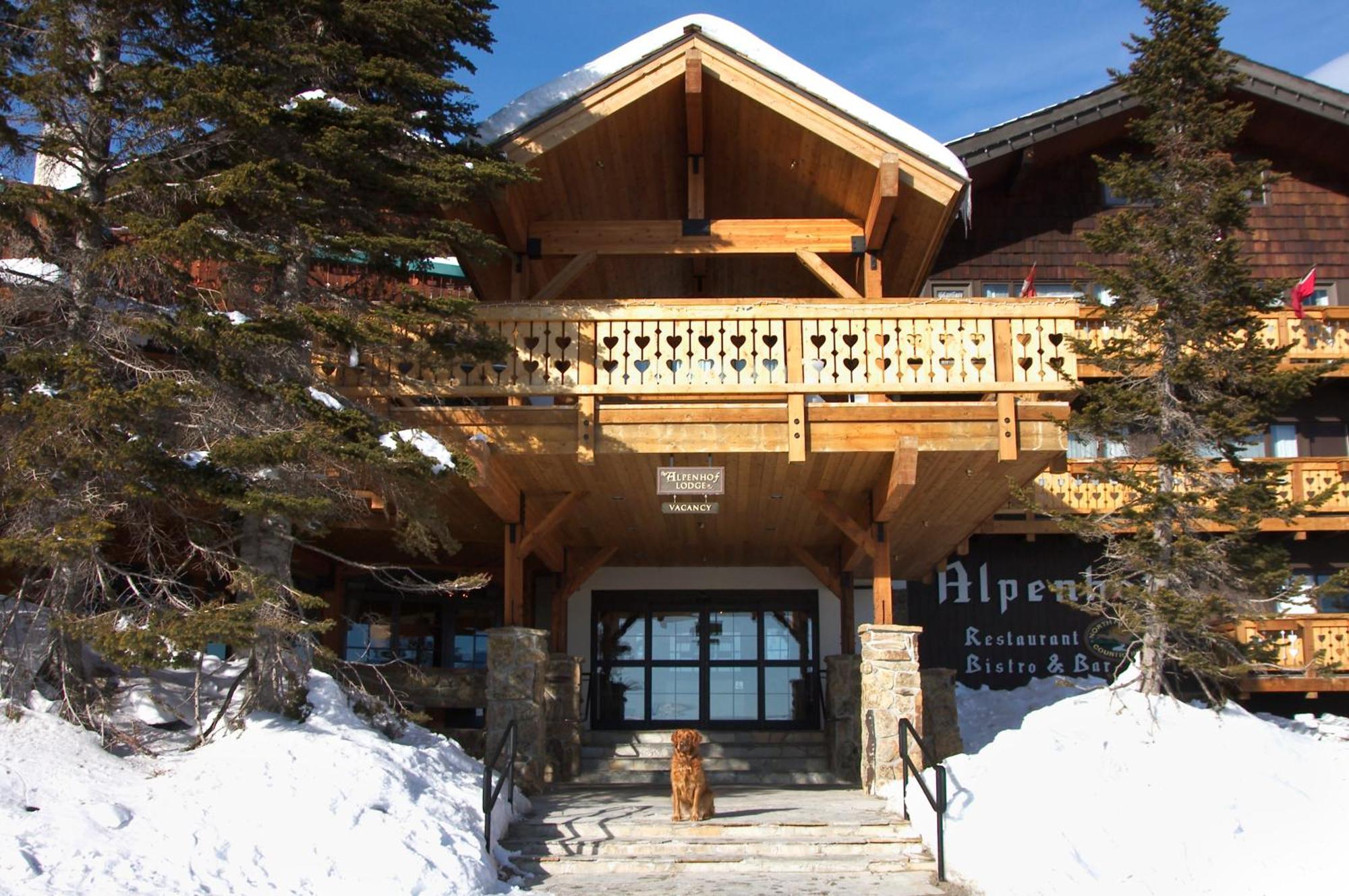 The Alpenhof Hotel Teton Village Exterior photo